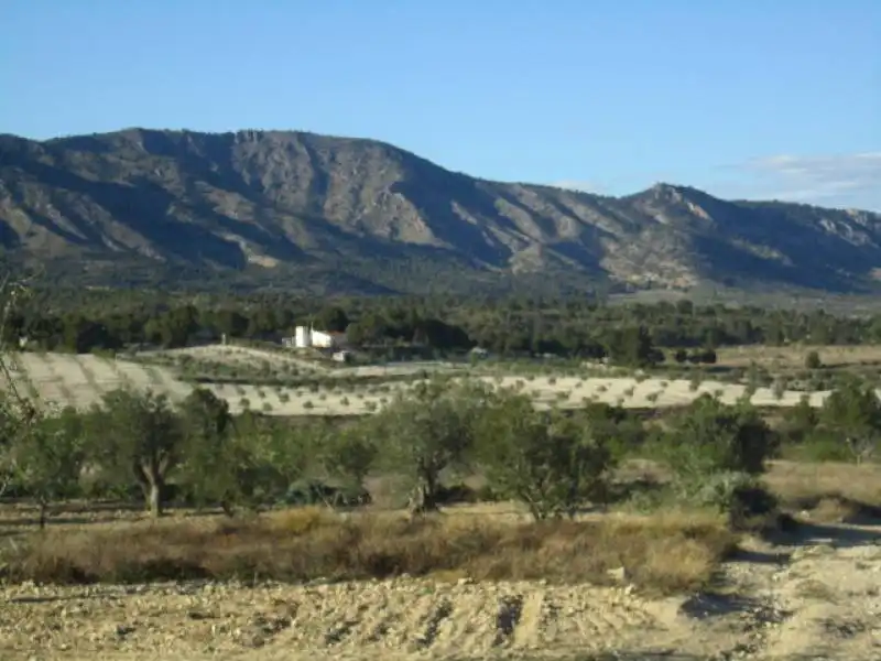 Casa en venda a Salinas, imagen 34