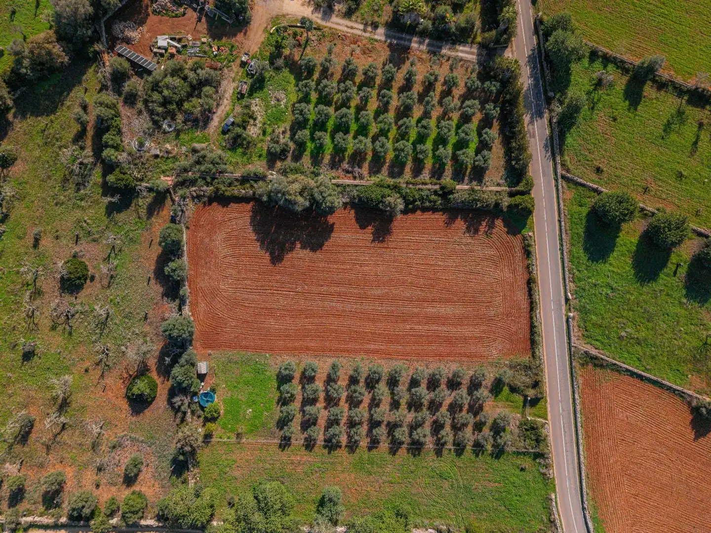 Terreny rústic en venda a Camino Camí de Vinyota