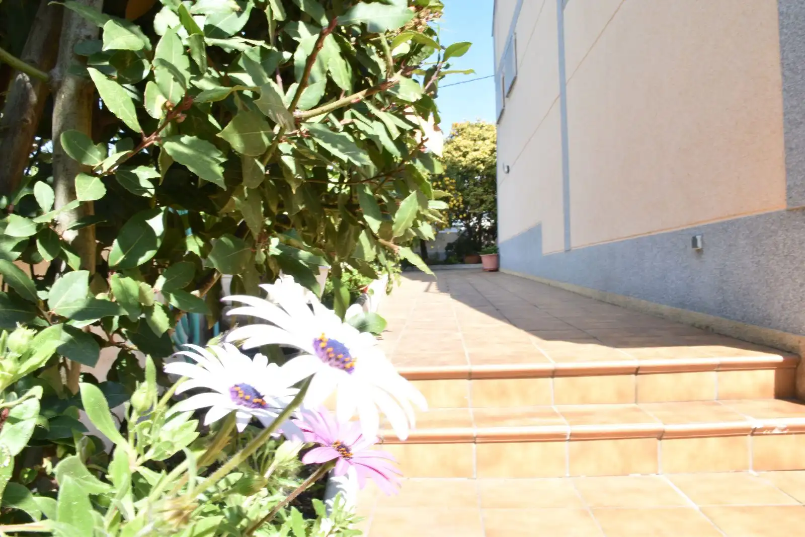 Villa avec piscine à vendre à altafulla 45, imagen 11