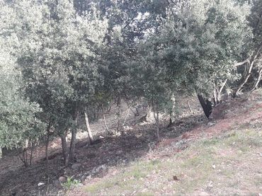 Terreno residenziale in vendita a Matadepera