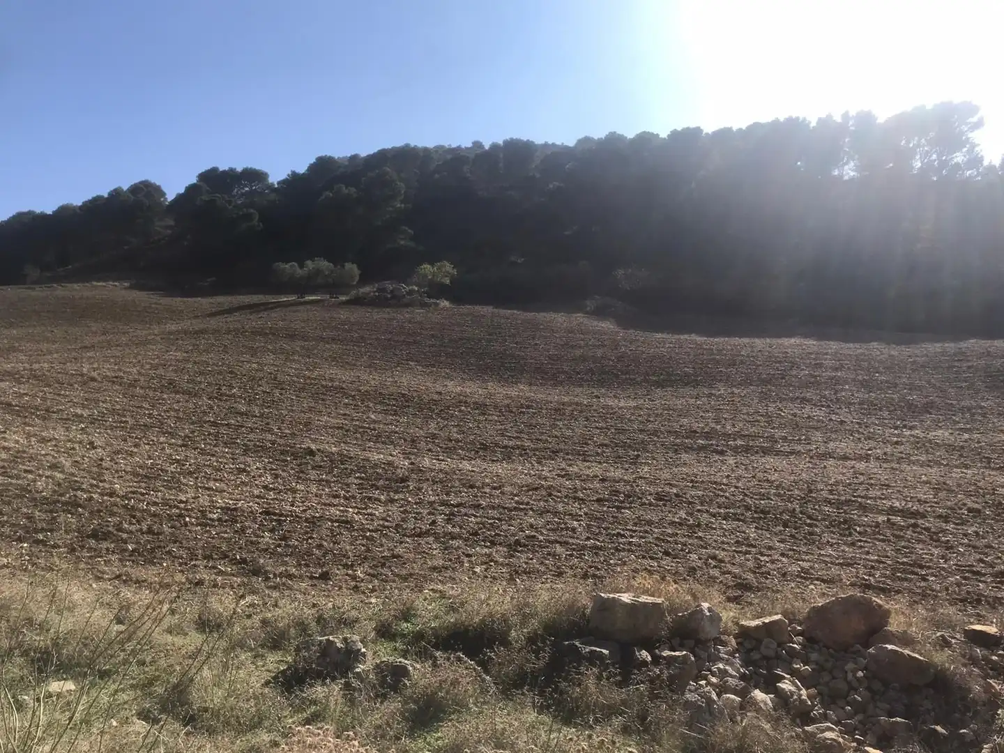 Residencial en venda en Álora