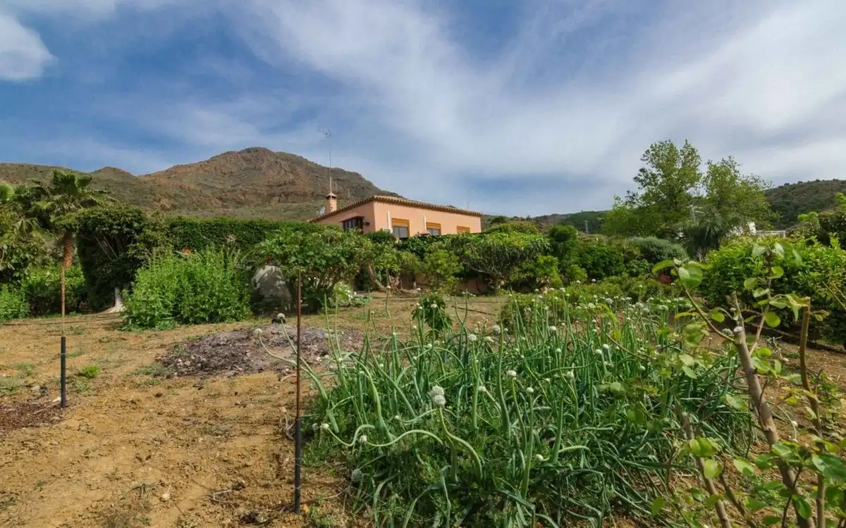 Terreni e lotti in vendita a Estepona Pueblo, imagen 7