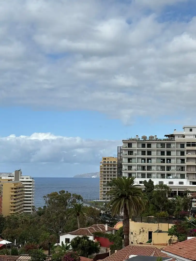 Apartment with pool to rent in Botanico, imagen 16