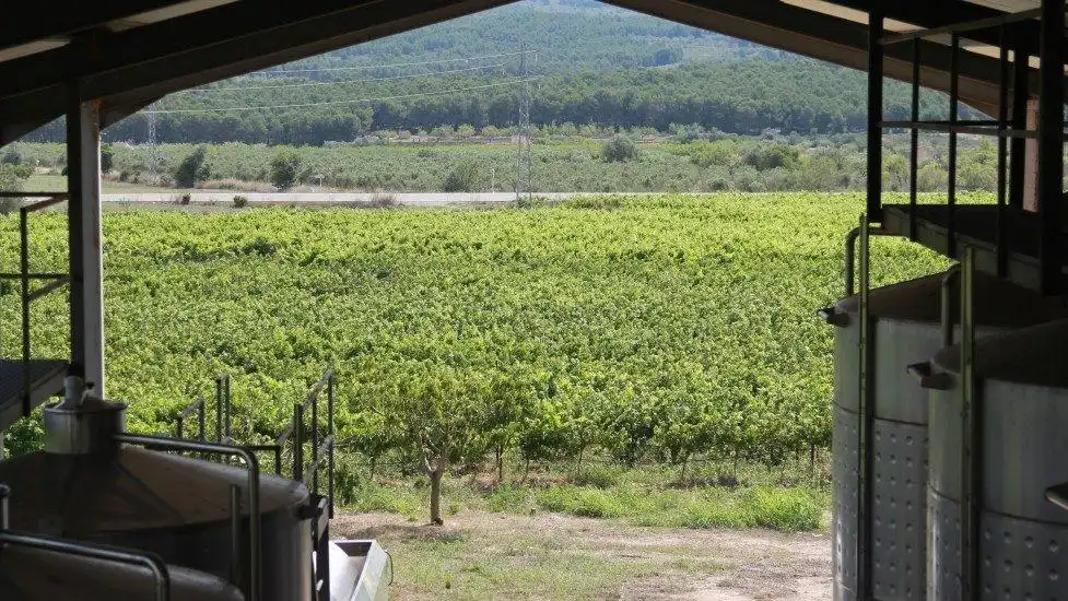 Vista exterior de Finca rústica en venta en El Perelló con Jardín privado, Terraza y Trastero