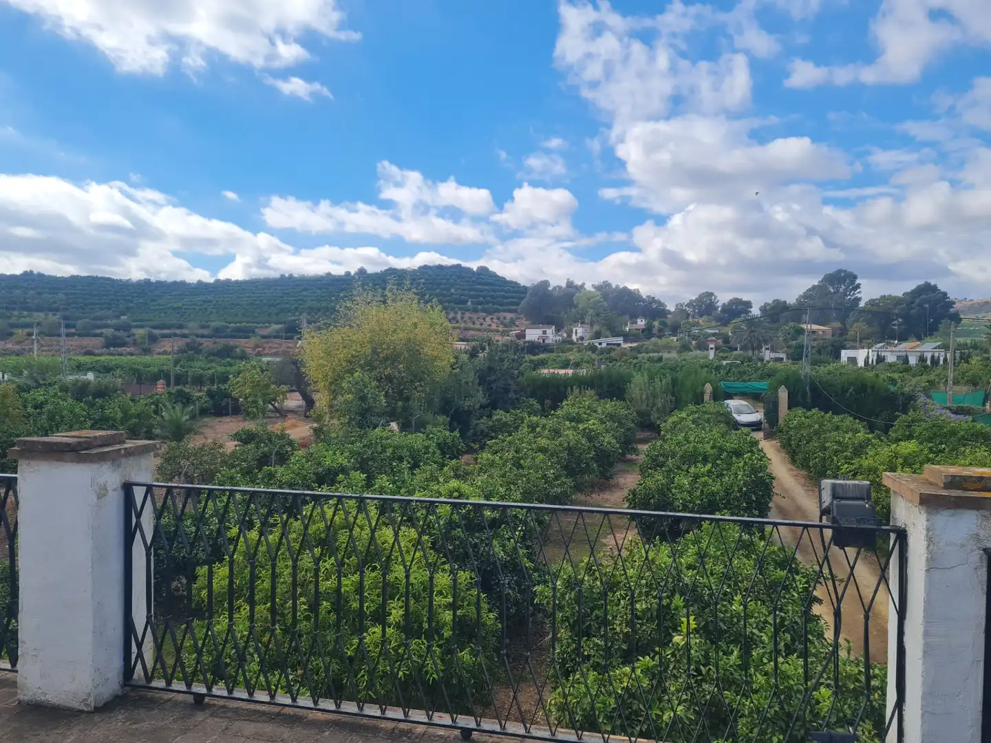 Garten von Country house zum Verkauf in Cantillana mit Privatgarten, Terrasse und Schwimmbad
