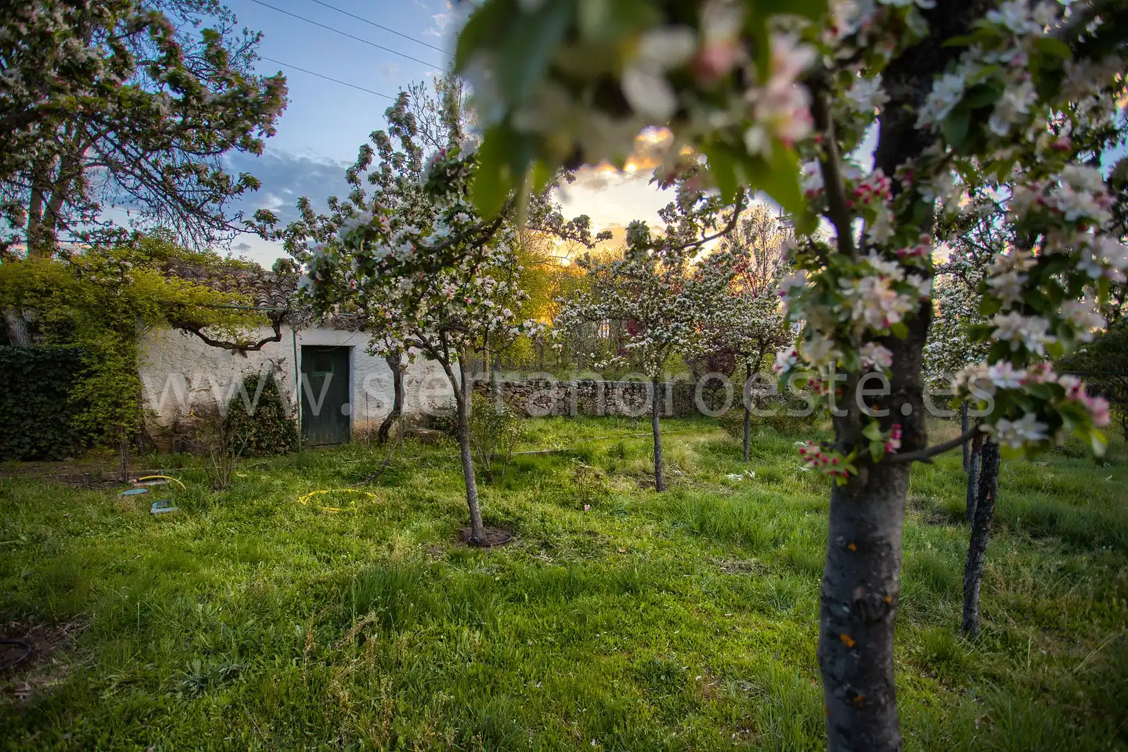 Casa o chalet en venta en Puerto de Galapagar - Las Cuestas