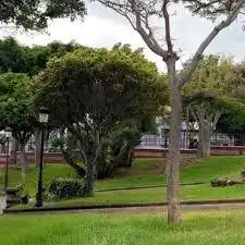 Jardín de Residencial en venta en Telde
