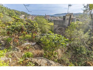 Casa amb jardí en venda a Calle FORNASSOS