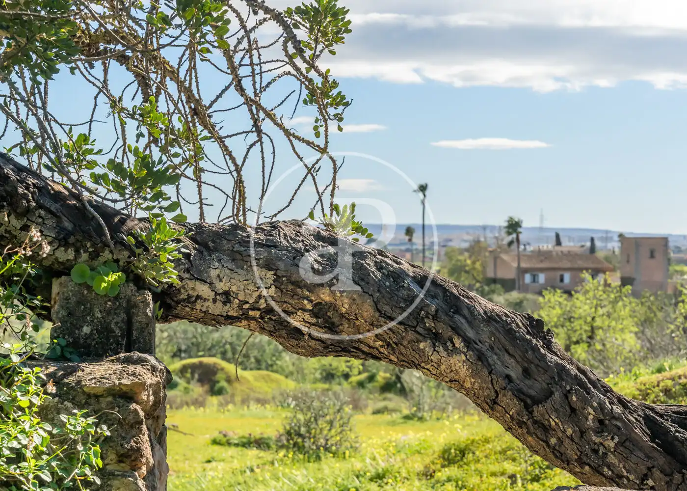Casa o xalet en venda en  Palma de Mallorca amb Aire condicionat, Calefacció i Jardí privat