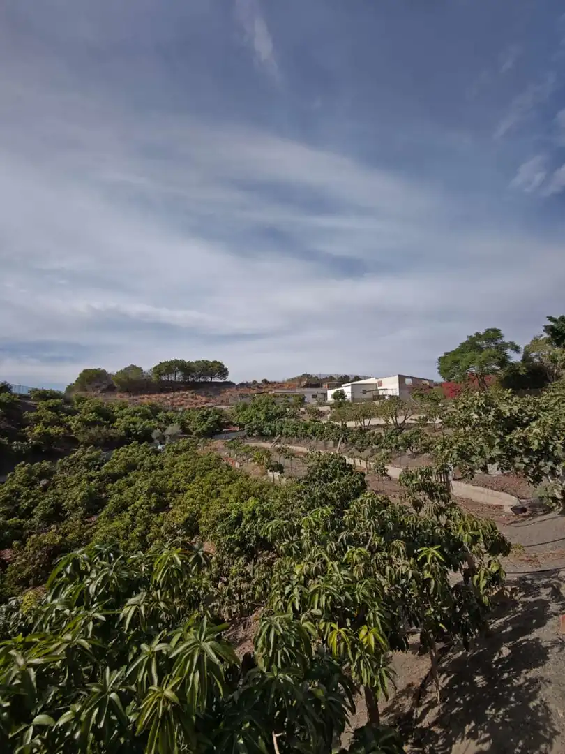 Country homes for sale in N/A, Norte - Barrio del Pilar - El Reñidero