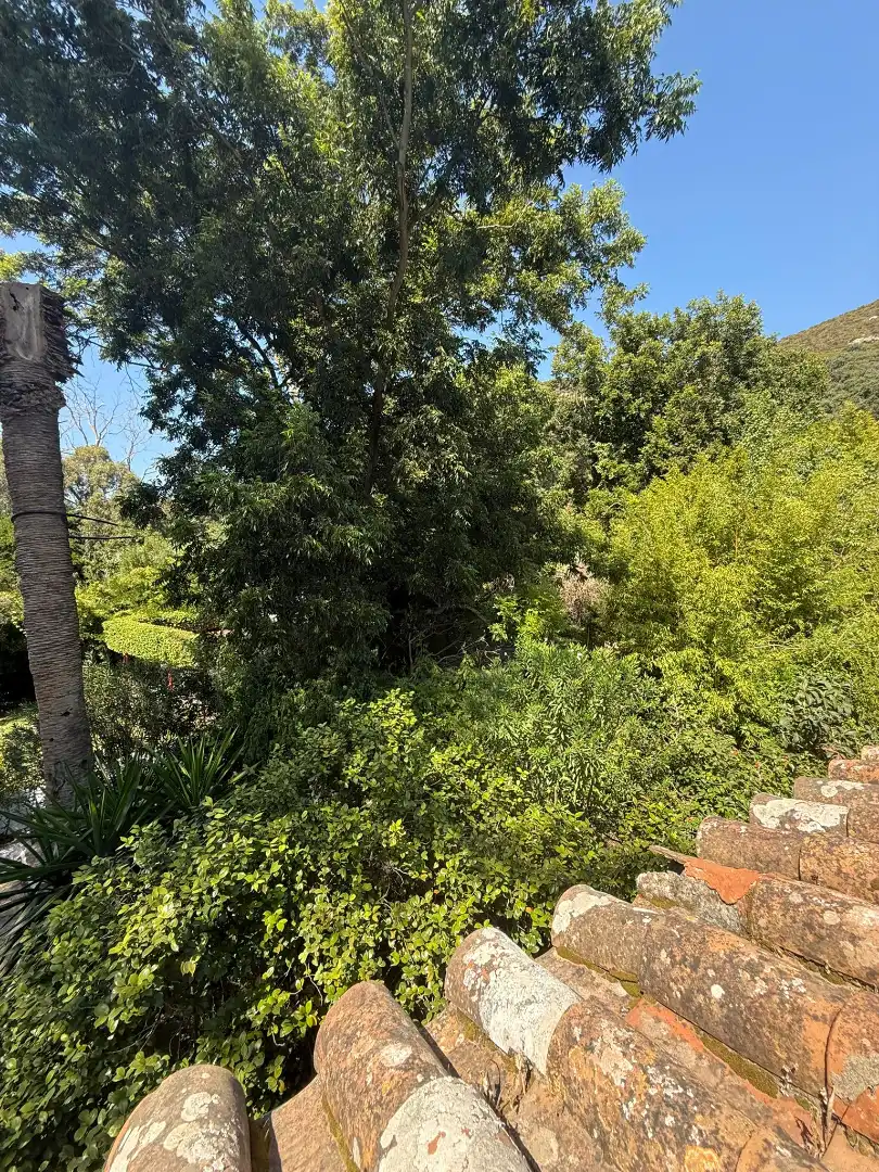 Casa o chalet en venta en Algeciras con Jardín privado, Terraza y Piscina