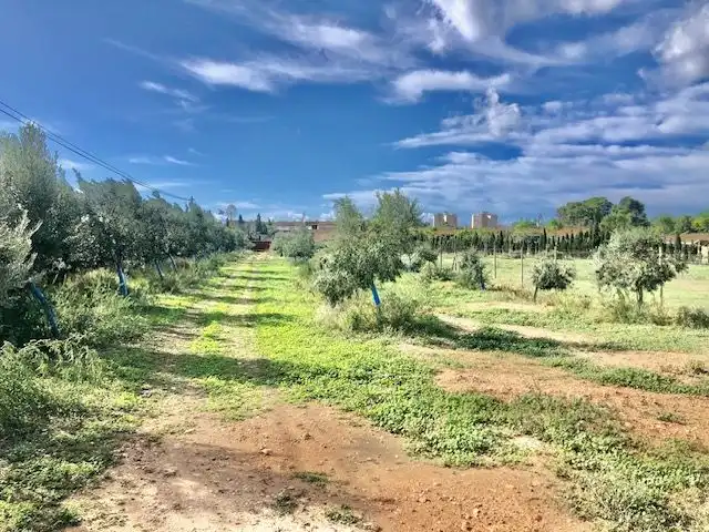 Casa rústica con terraza en venta en Llevant, imagen 20
