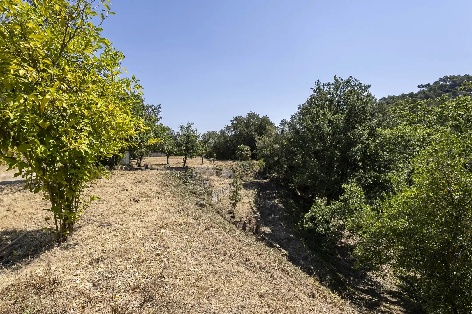 Casa con jardín en venta en Torrelles de Llobregat, imagen 2