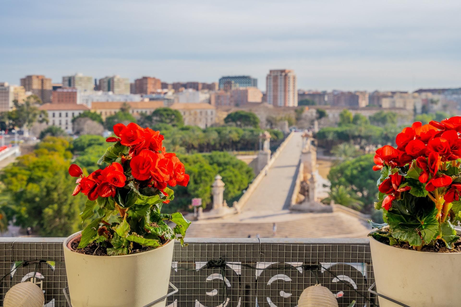 Terrassa de Pis de lloguer en  Valencia Capital amb Aire condicionat, Calefacció i Jardí privat