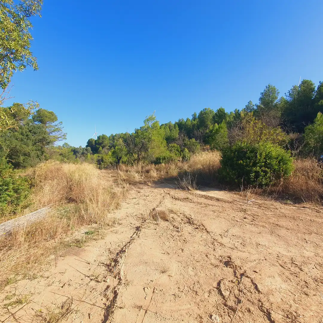 Finca rústica en venda en Caseres amb Moblat