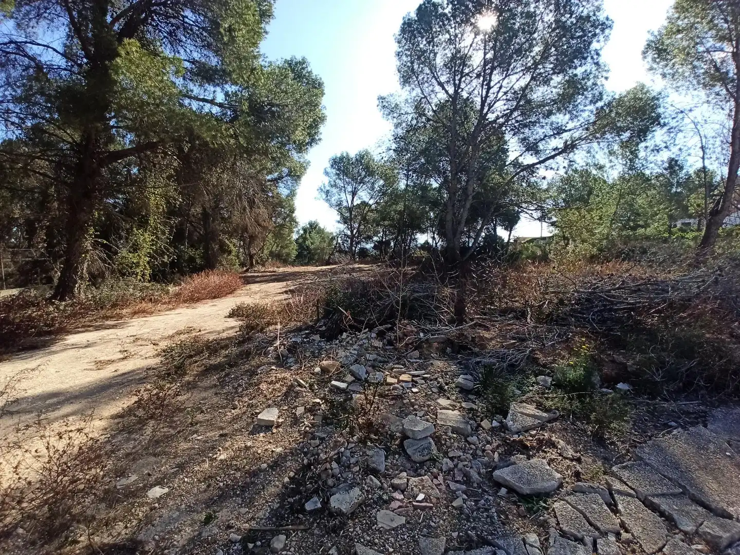 Terreno residencial en venta en Alberic