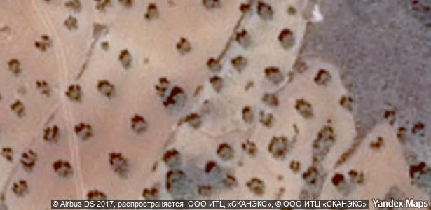 Finca rústica en venta en Guadamur