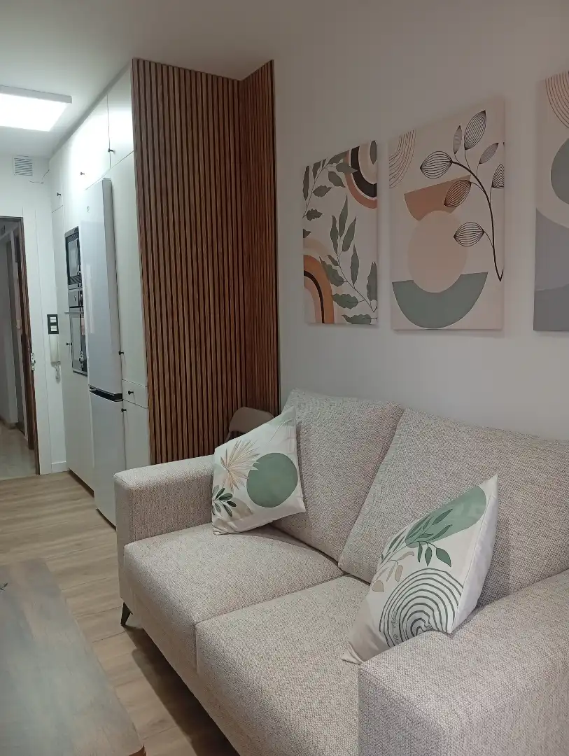 Sala d'estar de Estudi de lloguer en Granada amb Aire condicionat, Calefacció i Moblat
