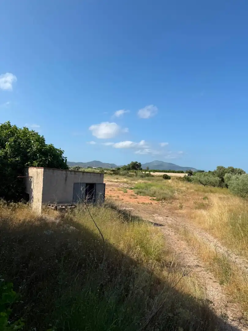 Terreno rustico in vendita a Partidas de interior - Zona Rústica, imagen 23