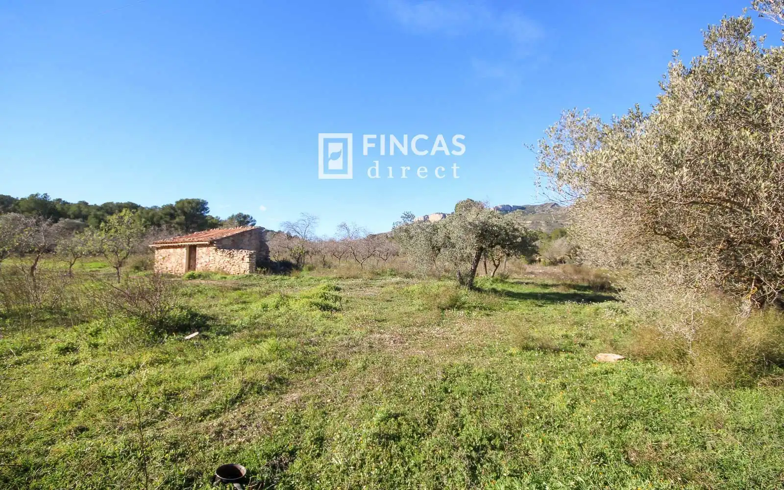 Finca rústica en venta en Miravet