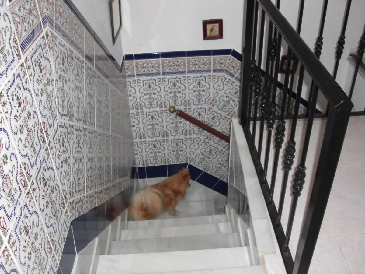 Maison à vendre à Vejer, imagen 26