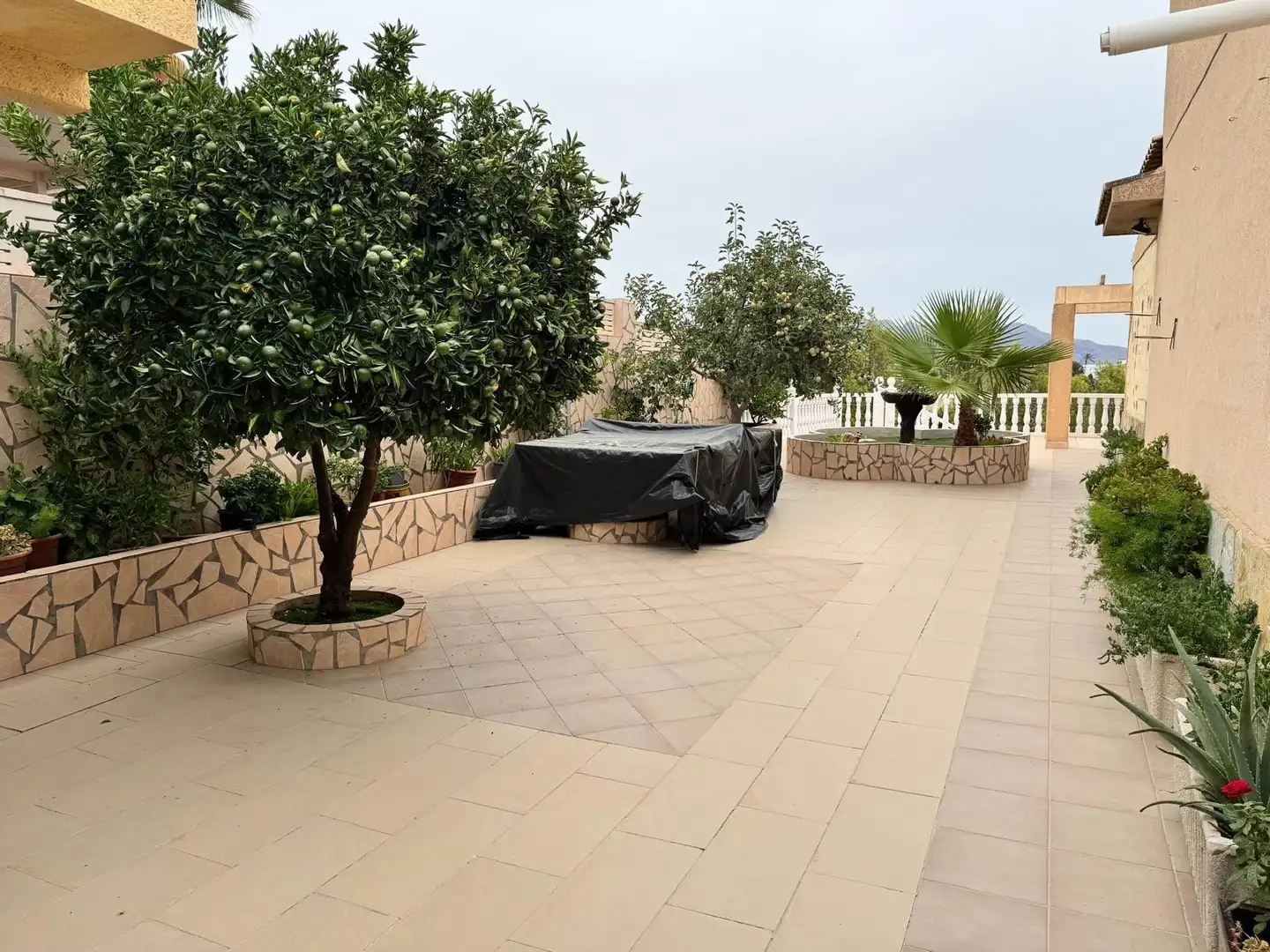 Villa con terrazza in vendita a Coloma, imagen 15