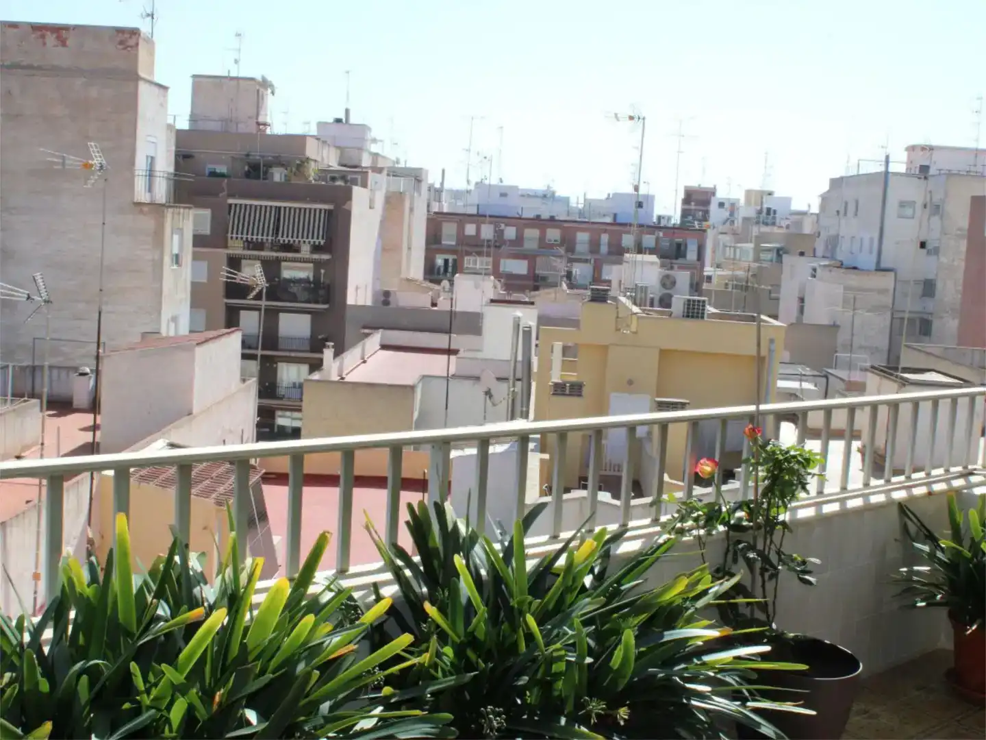 Vista exterior de Àtic en venda en Elche / Elx amb Aire condicionat