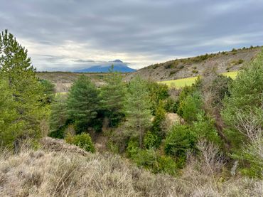 Rural land for sale in Calle Única