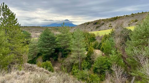 Terreno en venta en araguas del solano s/n