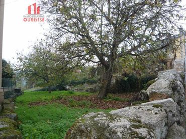 Terreni e lotti in vendita a Toén