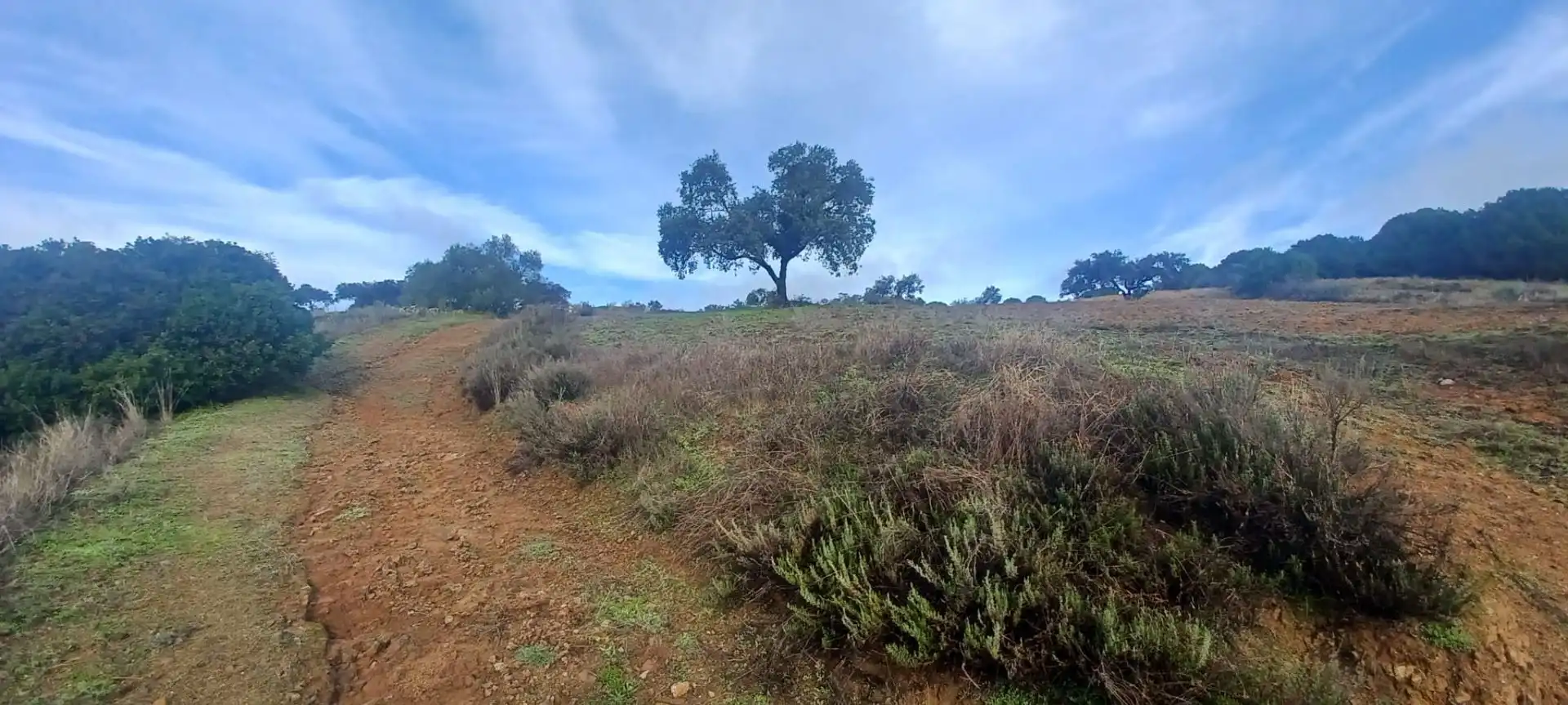 Terreni e lotti in vendita a Cazalla de la Sierra, imagen 37