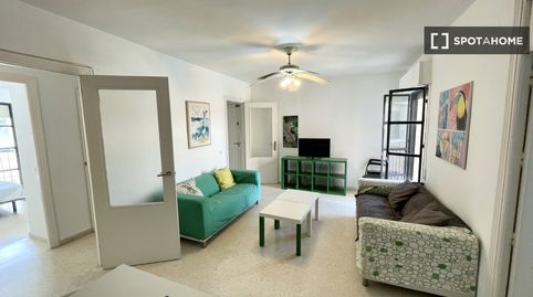 Photo 5 of Room in Triana Oeste, Sevilla Capital