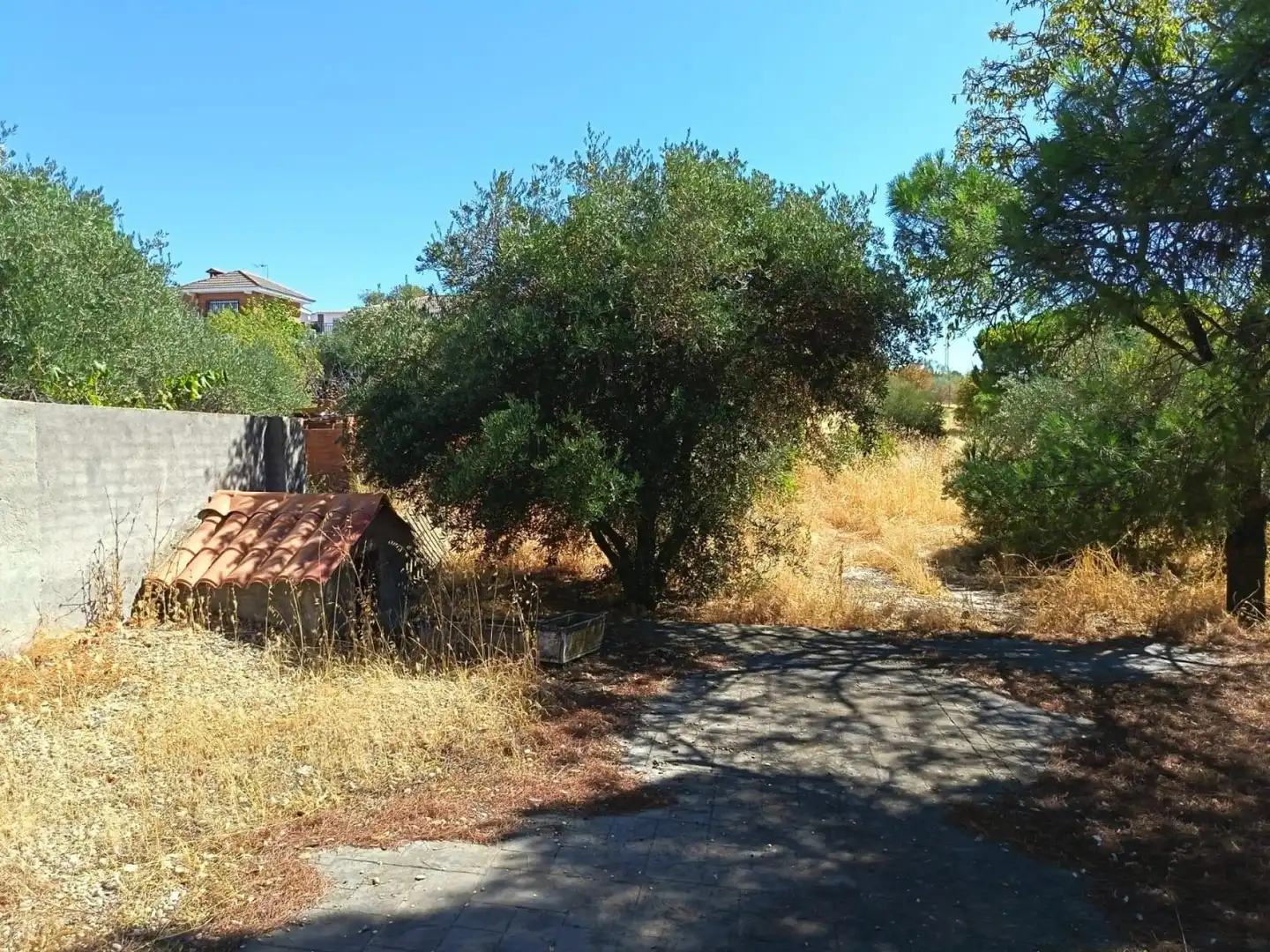 Casa o chalet en venta en Albarreal de Tajo con Calefacción