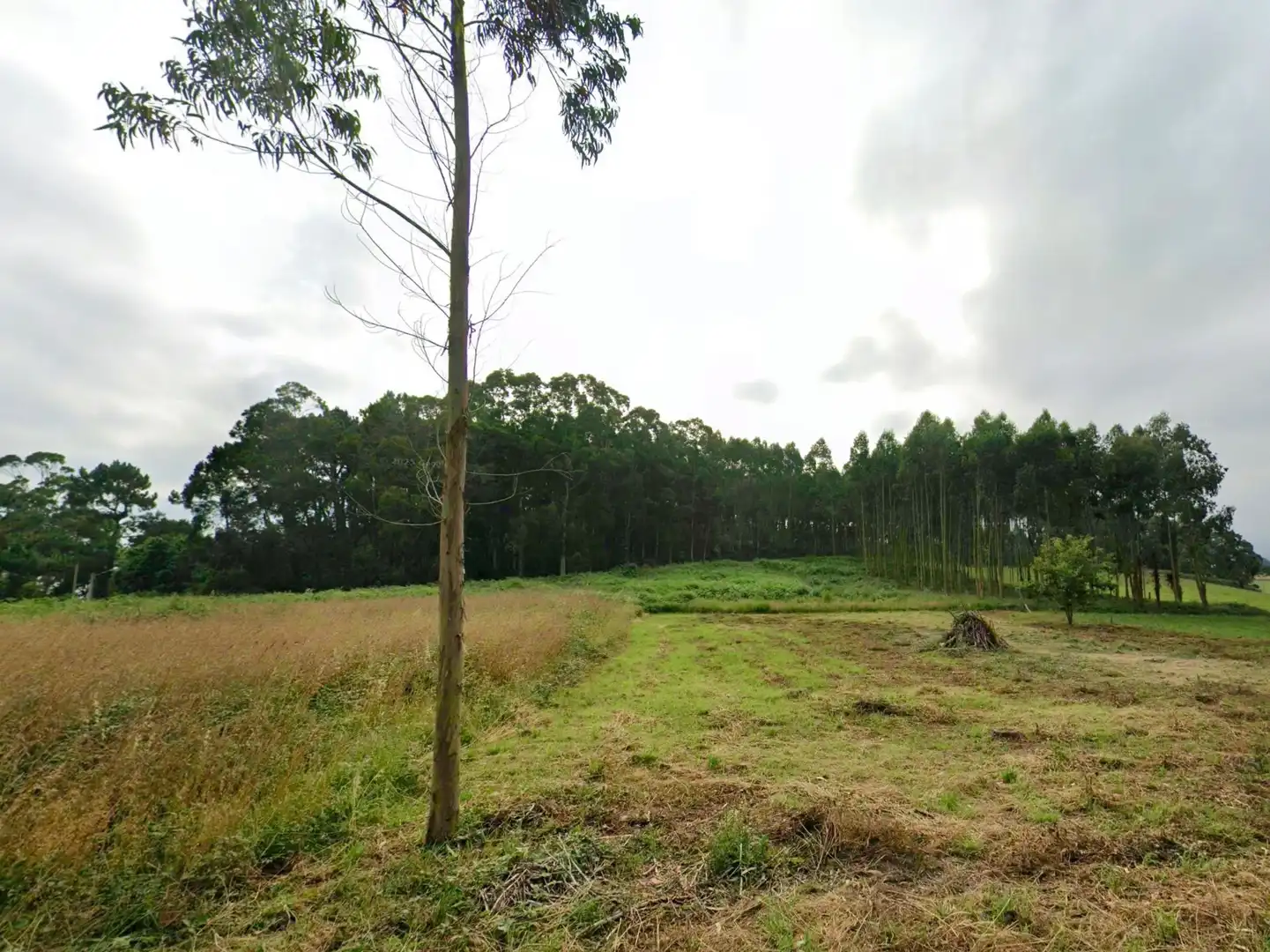 Terreni e lotti in vendita a Telleira - Mourente, Polígono 2, Parcela 627, imagen 6