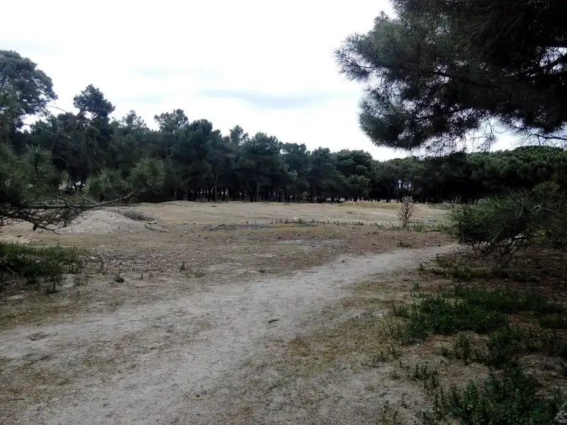 Terreno residencial en venta en Revuelta, imagen 9