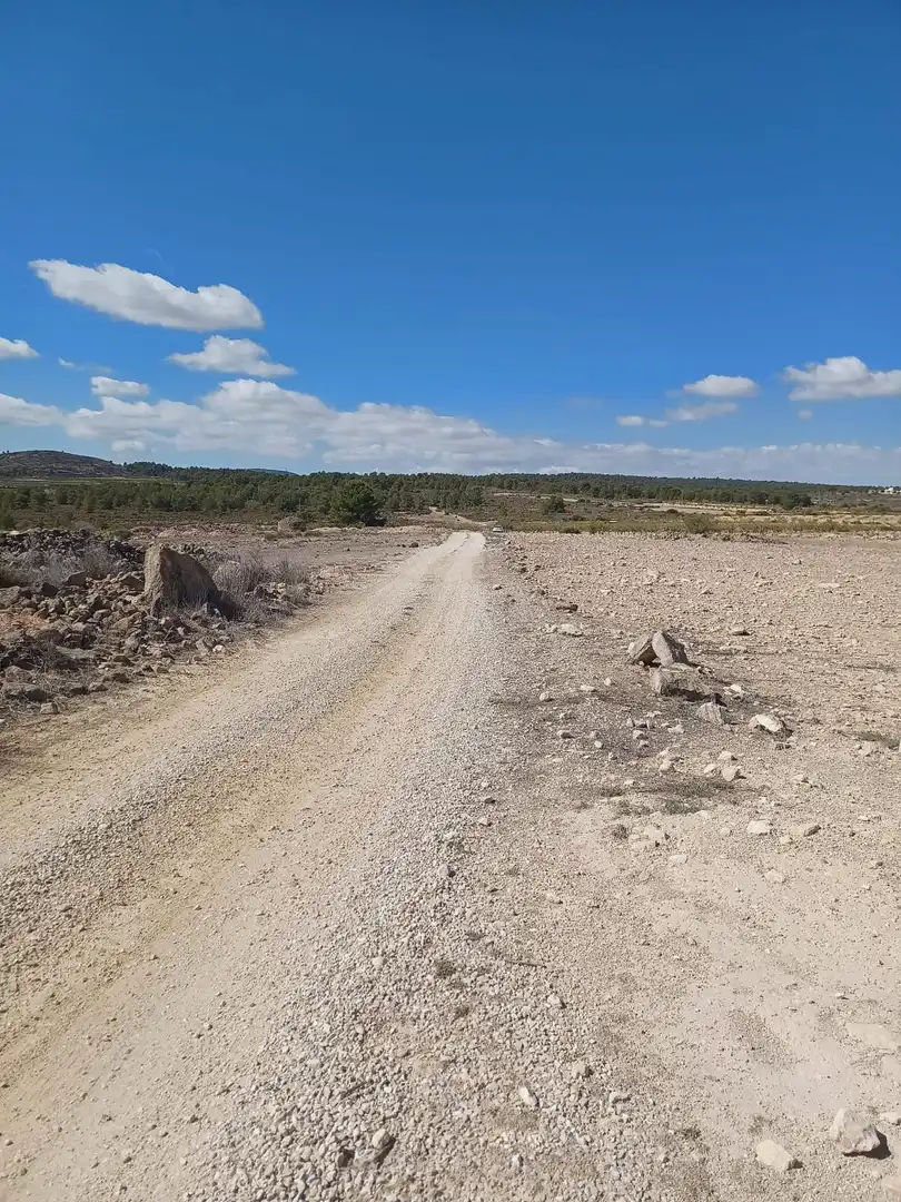Terreny residencial en venda a El Pinós / Pinoso, imagen 6