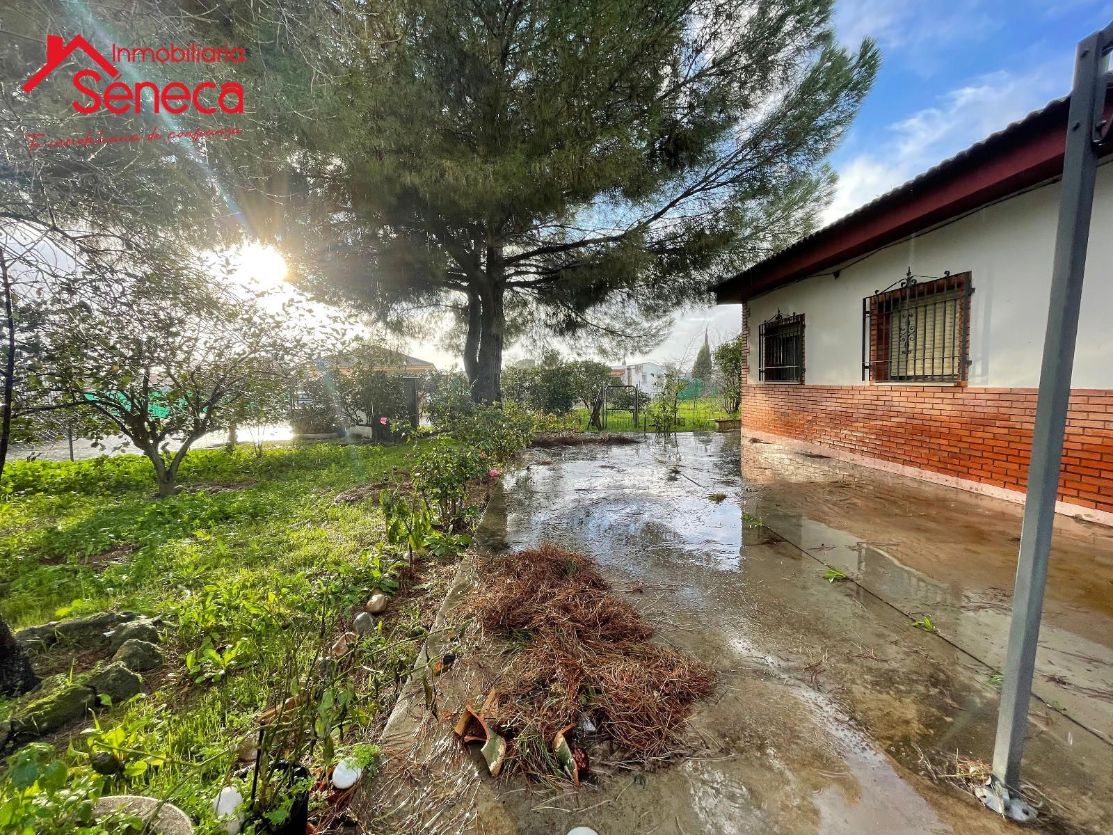 Garden of House or chalet for sale in  Córdoba Capital  with Air Conditioner, Heating and Terrace
