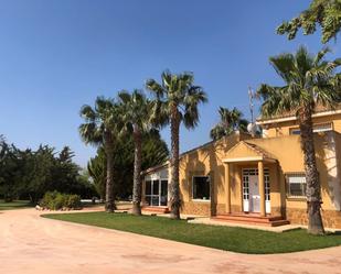 Vista exterior de Casa o xalet en venda en Elche / Elx amb Jardí privat i Piscina comunitària