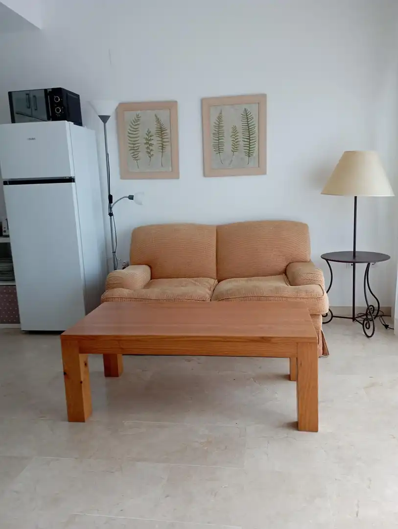 Estudi amb terrassa de lloguer a La Motilla - Fuente del Rey, imagen 14
