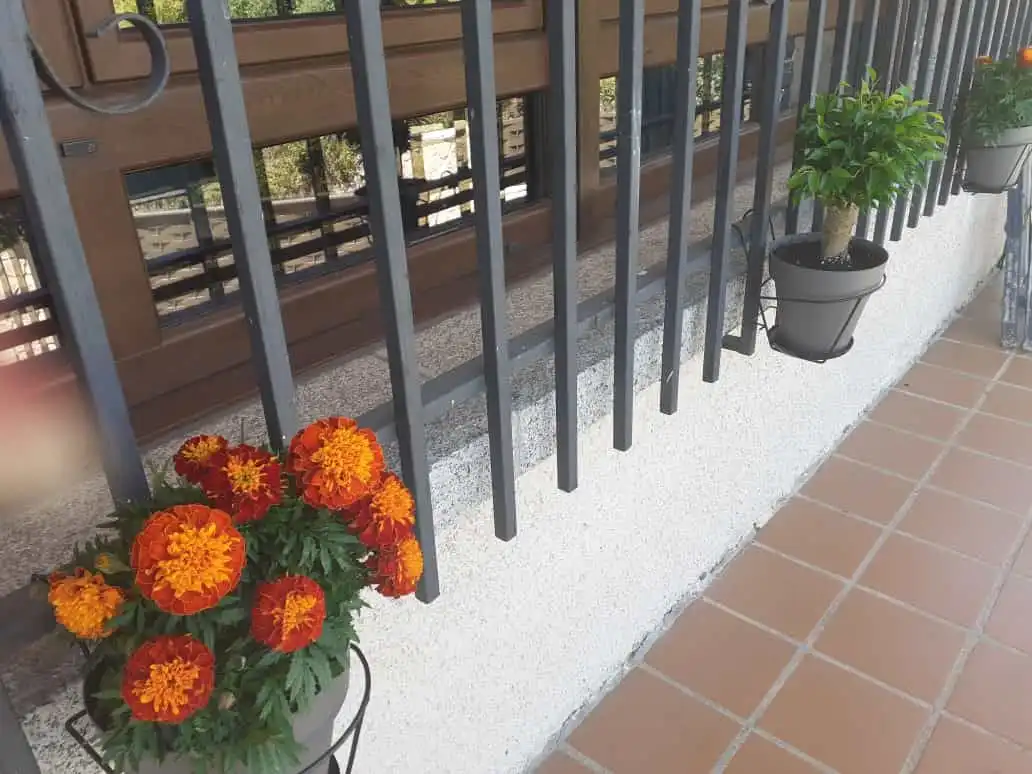 Casa o chalet en venta en Peguerinos