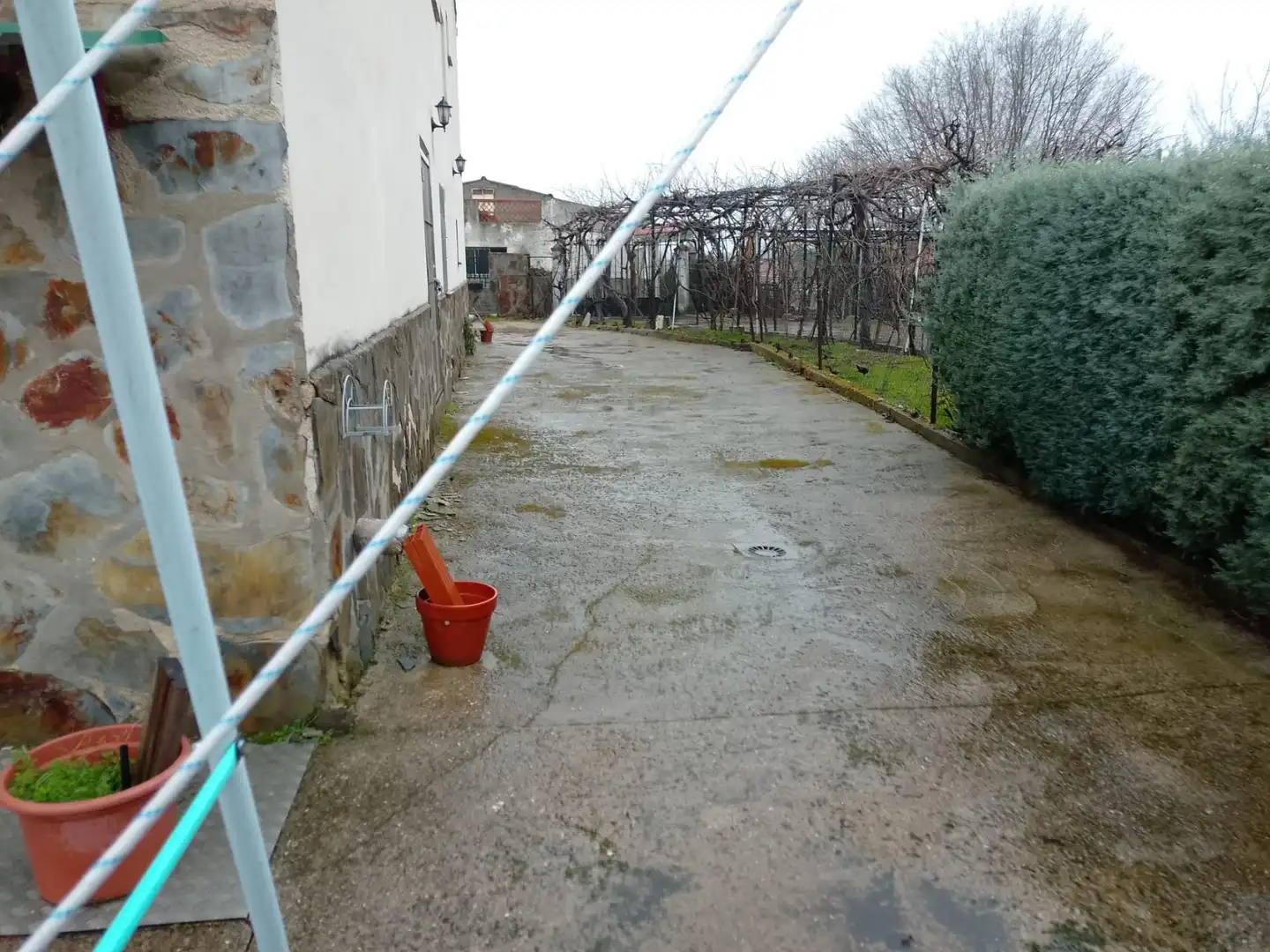 Jardín de Casa o chalet en venta en El Viso de San Juan con Calefacción, Terraza y Piscina