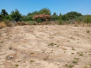 Terreno rustico in vendita a Pedanías Oeste