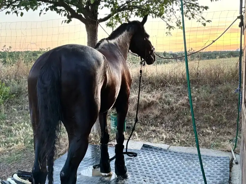 Terreno rustico in vendita a Camino de las Salinas 5, imagen 6