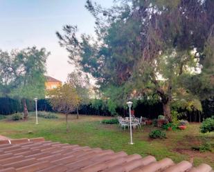 Garden of House or chalet for sale in Montserrat  with Terrace and Swimming Pool