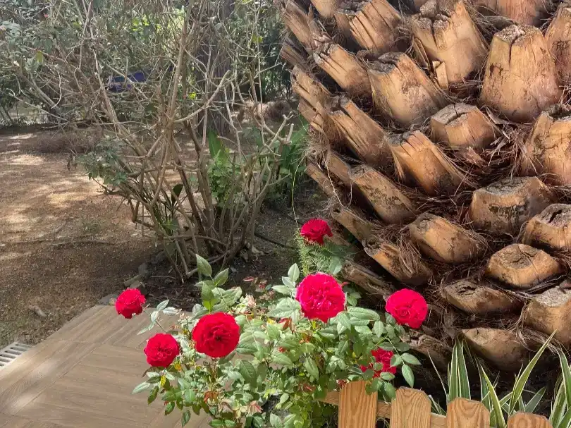 Jardín de Piso en venta en Isla Cristina con Aire acondicionado, Jardín privado y Trastero