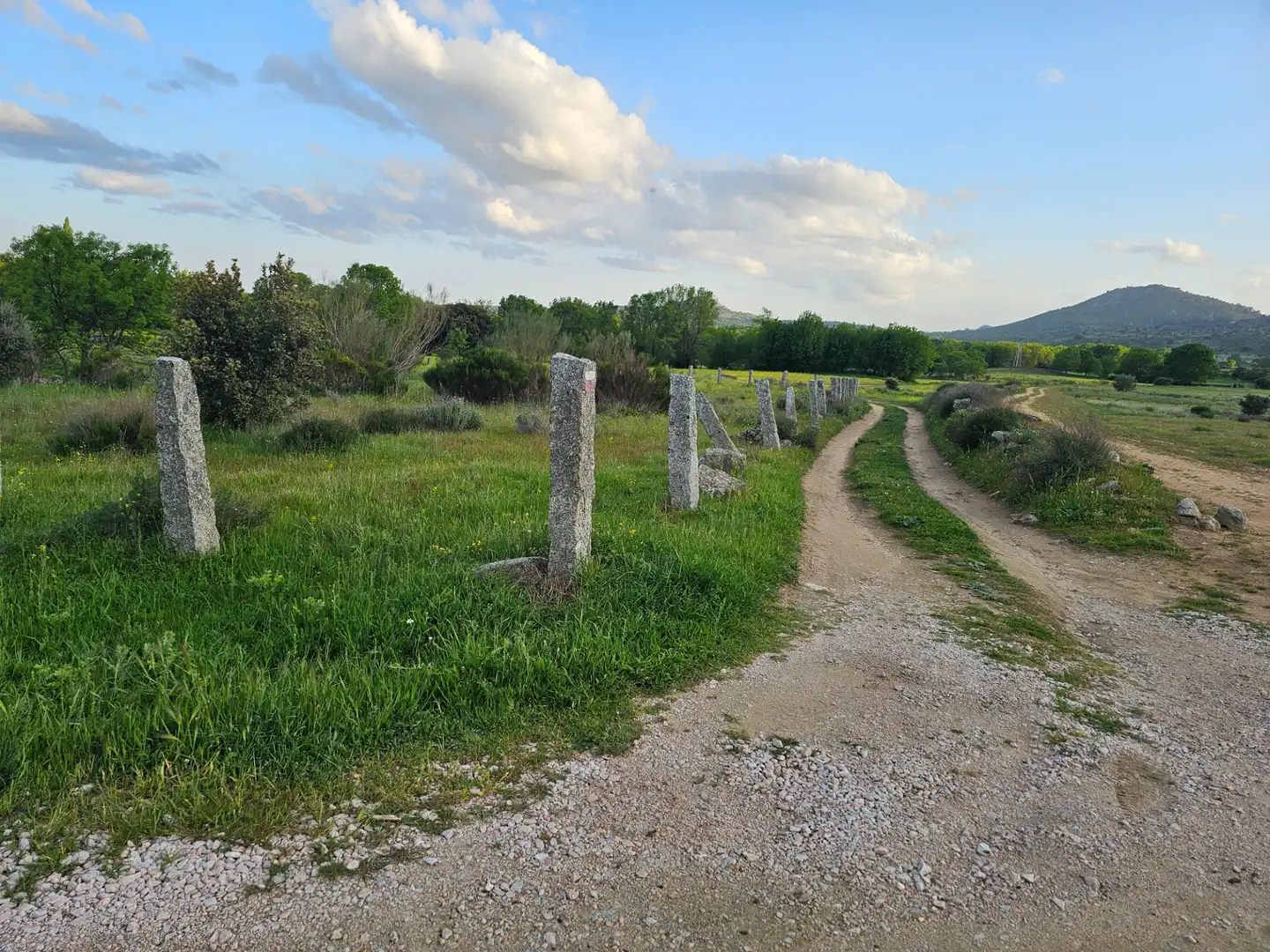 Rural land for sale in Zarzalejo, imagen 8