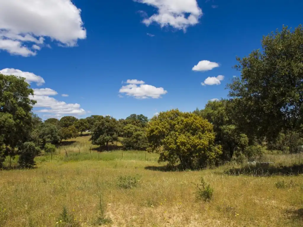 Finca rústica en venda en Navalcarnero