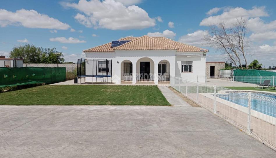 Foto 1 de Finca rústica en venta en Los Palacios y Villafranca, Sevilla