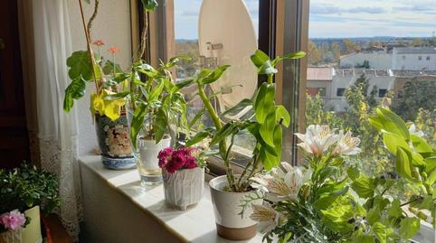 Foto 4 de Edifici en venda a Barrios Bajos - La Horta, Zamora