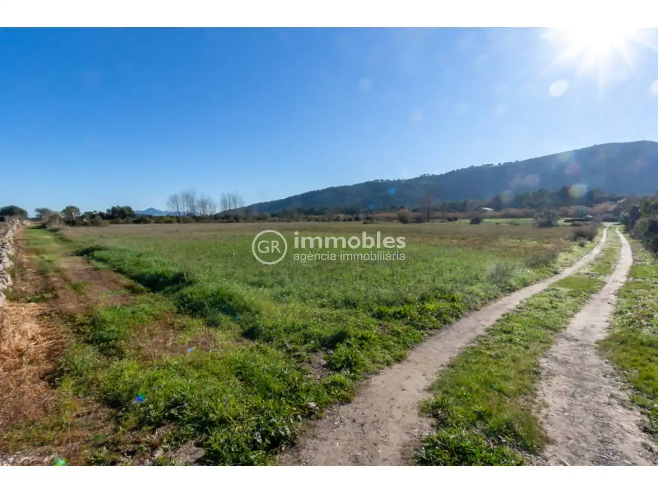 Rustikales Grundstück zum Verkauf in Pollença Poble, imagen 2
